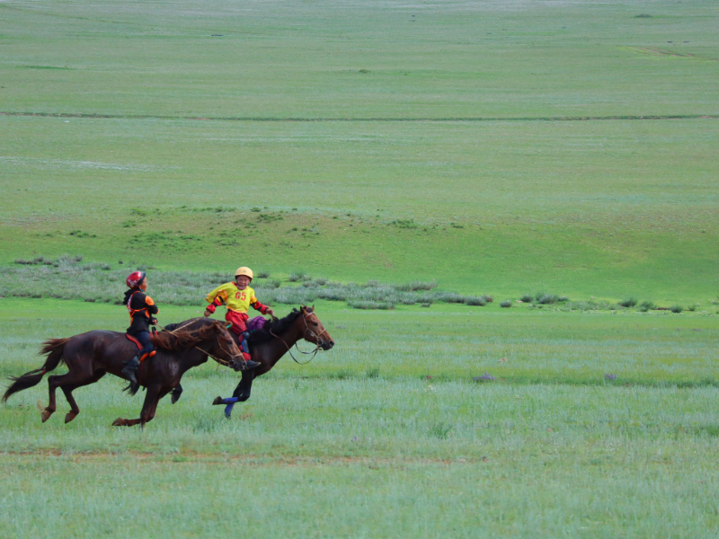 Children riding horses in a race