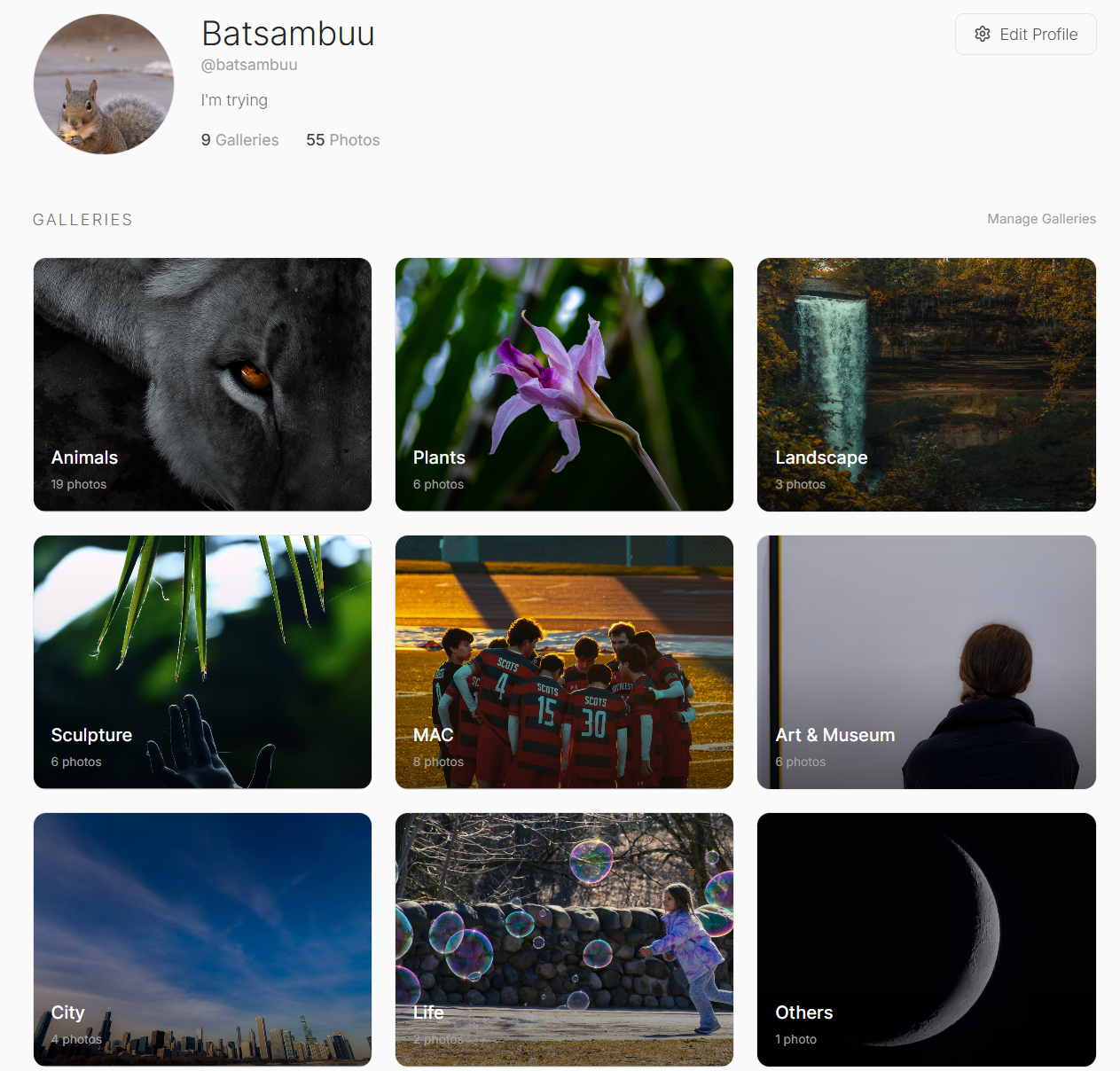 Mosaic Photography Portfolio - Masonry gallery layout