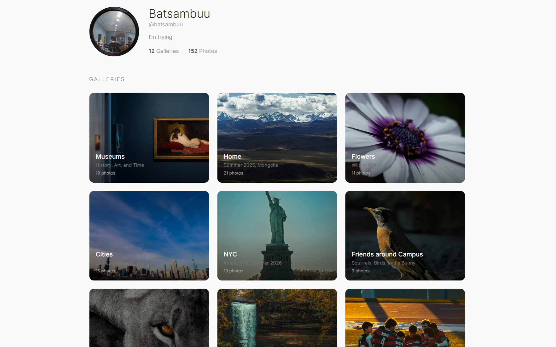 Mosaic photography portfolio interface